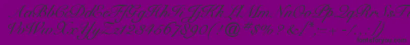 Cygnetround-Schriftart – Schwarze Schriften auf violettem Hintergrund