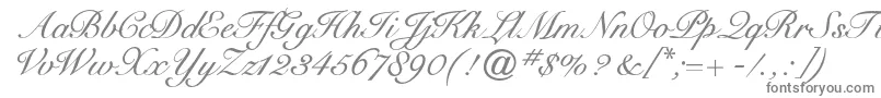 フォントCygnetround – 白い背景に灰色の文字