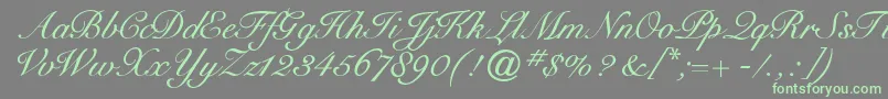 Cygnetround Font – Green Fonts on Gray Background