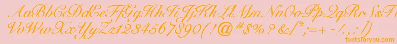 Cygnetround Font – Orange Fonts on Pink Background