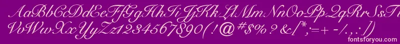 Cygnetround Font – Pink Fonts on Purple Background