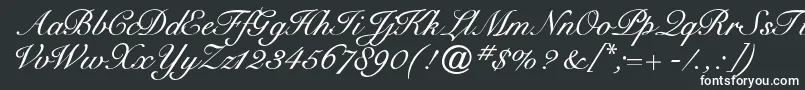 Шрифт Cygnetround – белые шрифты