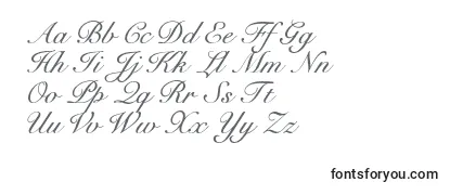 Cygnetround Font