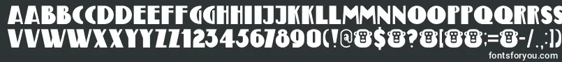 DK Bungehuis Font – White Fonts