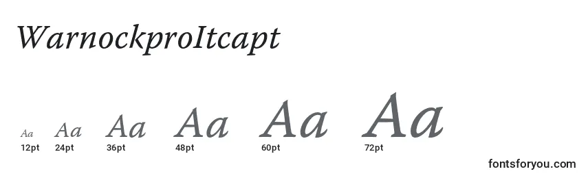 WarnockproItcapt Font Sizes
