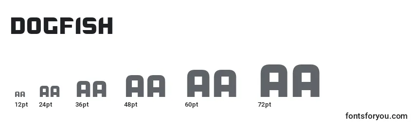 Dogfish Font Sizes