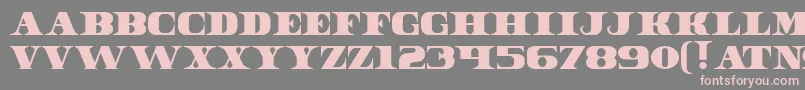 Dollar Bill Font – Pink Fonts on Gray Background