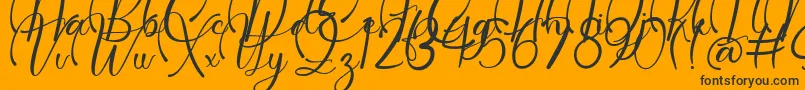 Dollie Demo-Schriftart – Schwarze Schriften auf orangefarbenem Hintergrund