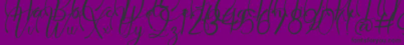 Dollie Demo Font – Black Fonts on Purple Background