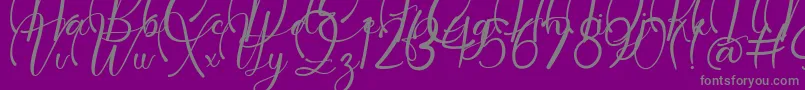 Dollie Demo-Schriftart – Graue Schriften auf violettem Hintergrund