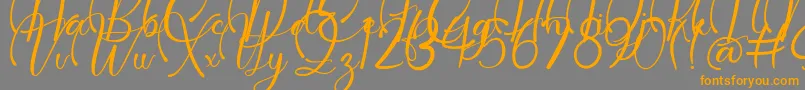 Dollie Demo Font – Orange Fonts on Gray Background