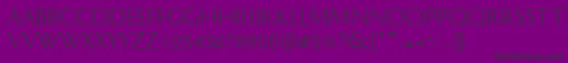 DOLPHIAN Font – Black Fonts on Purple Background