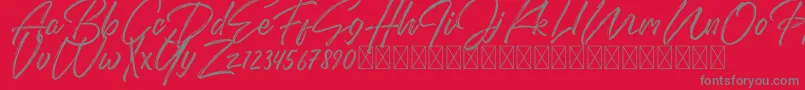 DomillionBrushFree Font – Gray Fonts on Red Background