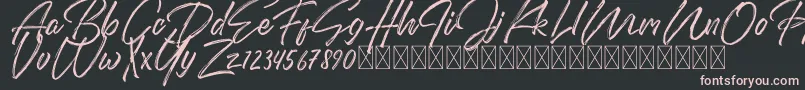 DomillionBrushFree-Schriftart – Rosa Schriften auf schwarzem Hintergrund