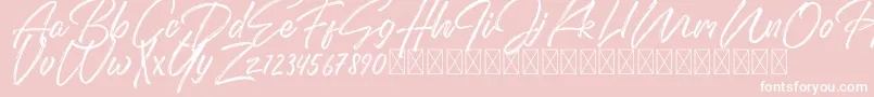 DomillionBrushFree-Schriftart – Weiße Schriften auf rosa Hintergrund