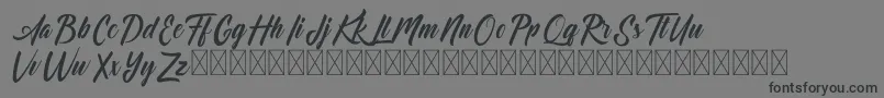 Dominick Font – Black Fonts on Gray Background