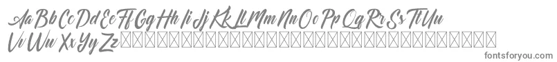 Dominick Font – Gray Fonts on White Background