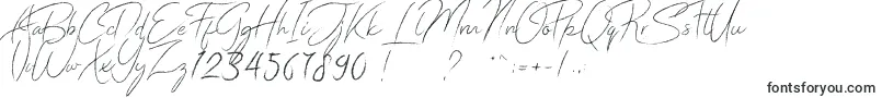 Donatella-Schriftart – Stilvolle Schriften
