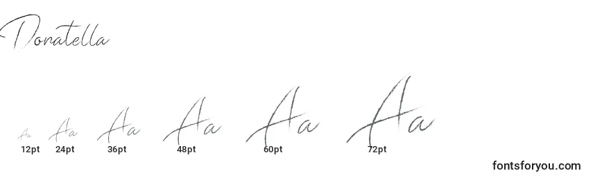Donatella Font Sizes