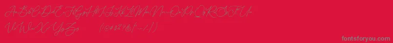 Donatellia Demo-Schriftart – Graue Schriften auf rotem Hintergrund