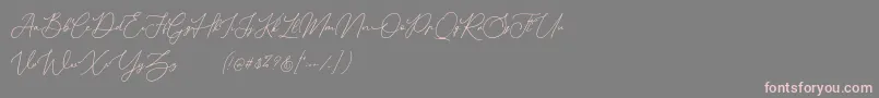 Donatellia Demo Font – Pink Fonts on Gray Background