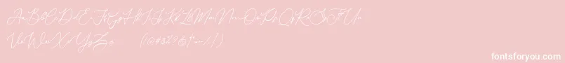 Donatellia Demo Font – White Fonts on Pink Background