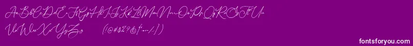 Donatellia Demo Font – White Fonts on Purple Background