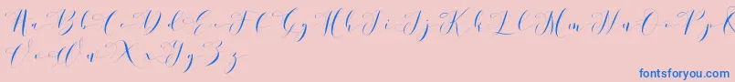 Donita Demo Font – Blue Fonts on Pink Background