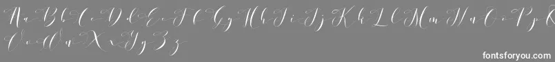 Donita Demo-Schriftart – Weiße Schriften auf grauem Hintergrund