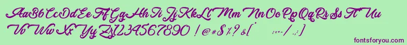 Donkey Talk   Personal Use Font – Purple Fonts on Green Background