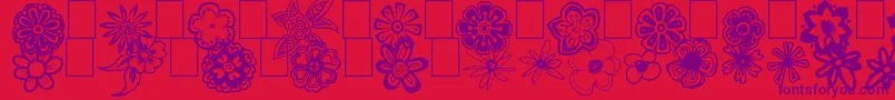 Czcionka DoodFlow – fioletowe czcionki na czerwonym tle