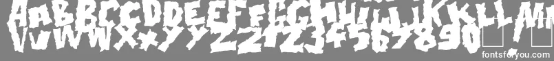 Doonga Black-fontti – valkoiset fontit harmaalla taustalla