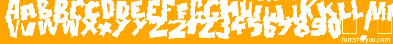 Doonga Black Font – White Fonts on Orange Background