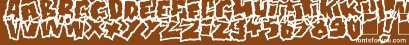 Doonga Font – White Fonts on Brown Background