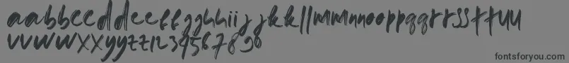 doremi brush Font – Black Fonts on Gray Background