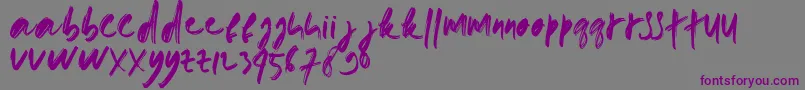 doremi brush-Schriftart – Violette Schriften auf grauem Hintergrund