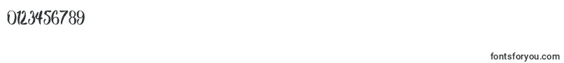 Double Jacket-Schriftart – Schriften für Zahlen und Nummern