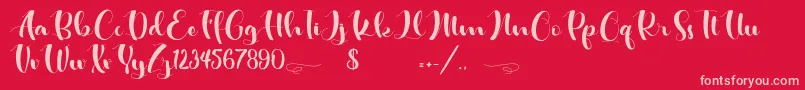 fuente Double Jacket – Fuentes Rosadas Sobre Fondo Rojo