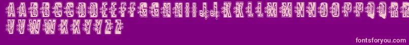 VtksLowriderbox-Schriftart – Rosa Schriften auf violettem Hintergrund