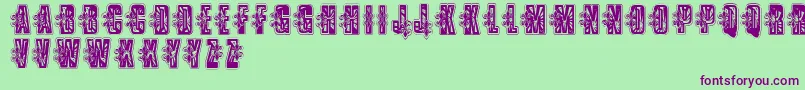 VtksLowriderbox Font – Purple Fonts on Green Background