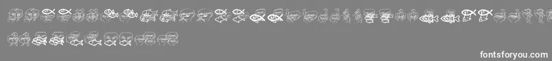 フォントDreamofPicasso – 灰色の背景に白い文字