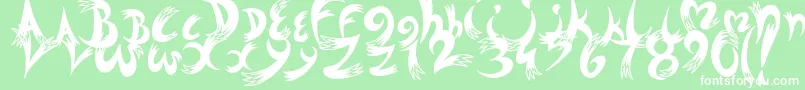 Dreams Font – White Fonts on Green Background