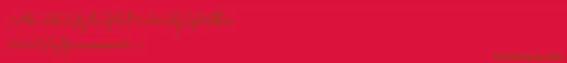 Drinkwater Demo Font – Brown Fonts on Red Background