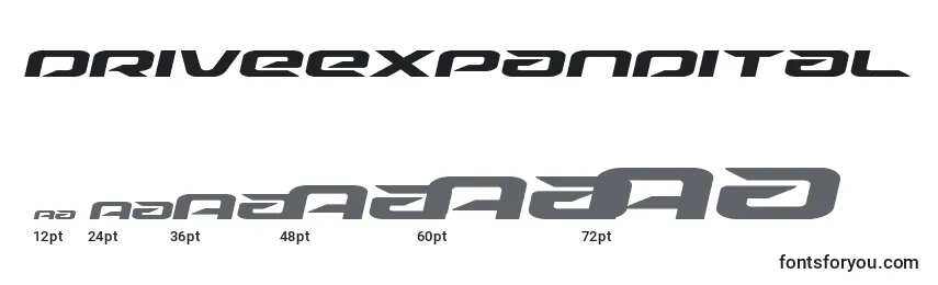 Driveexpandital (125501) Font Sizes
