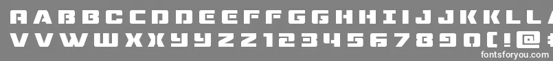 dronetrackertitle Font – White Fonts on Gray Background