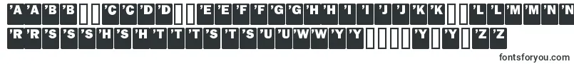 フォントDropCaps Sans – ハウスフォント