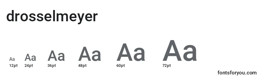 Размеры шрифта Drosselmeyer (125559)