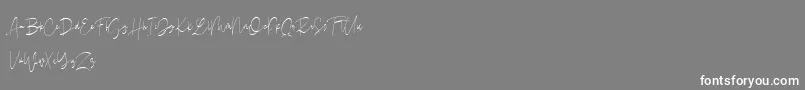 Drunkgun  Personal Use  Font – White Fonts on Gray Background