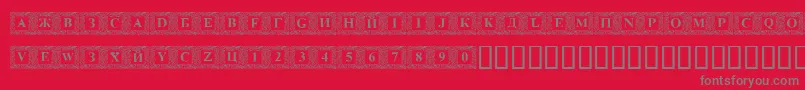 DSINN    Font – Gray Fonts on Red Background