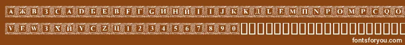 DSINN    Font – White Fonts on Brown Background